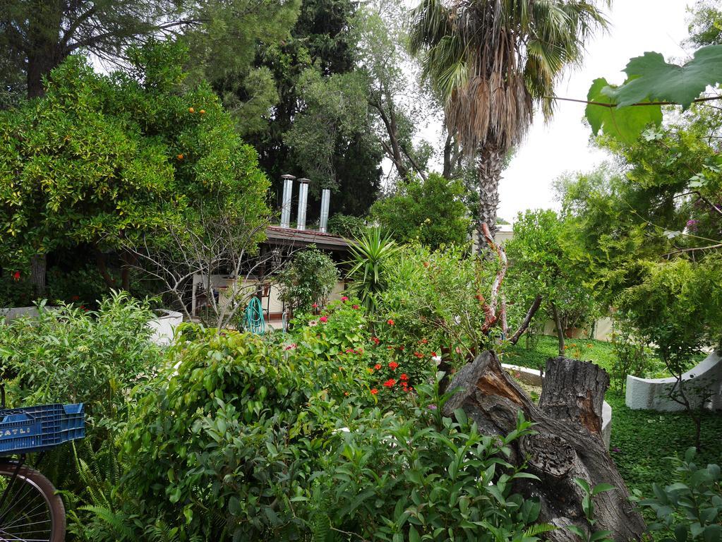 Longhouse Inn Hotel Dalyan Luaran gambar